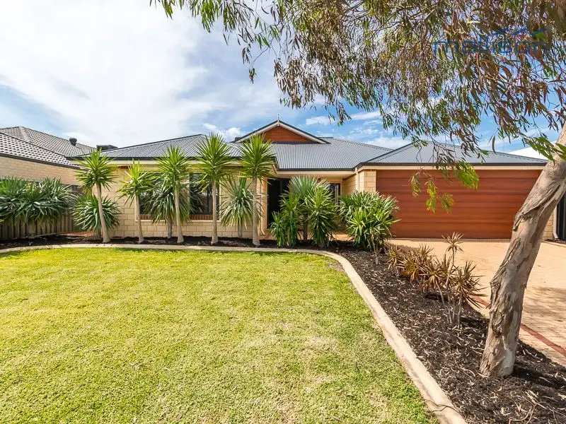 Main view of Homely house listing, 6 Songlark Crescent, Baldivis WA 6171