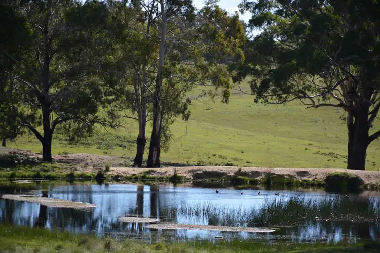 Fifth view of Homely land listing, 3584 Kings Highway, Bungendore NSW 2621