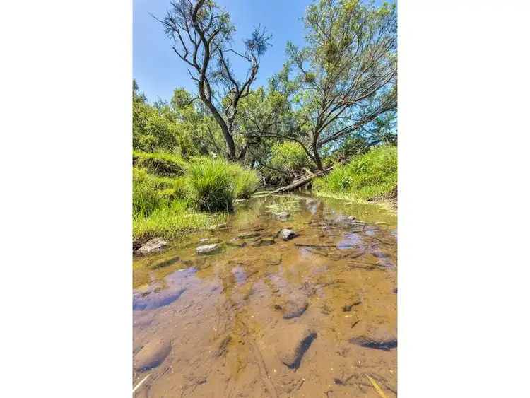 Seventh view of Homely house listing, 37-49 Bernie Jensen Road, Rosevale QLD 4340