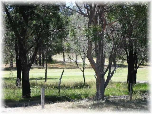 Second view of Homely land listing, Leschenaultia Circle, Donnybrook WA 6239