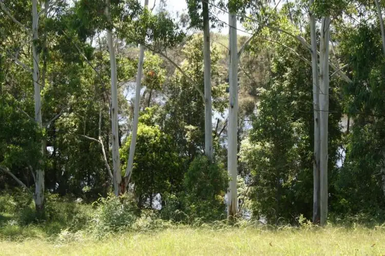 Second view of Homely land listing, 2 Deptford Close, Clarence Town NSW 2321
