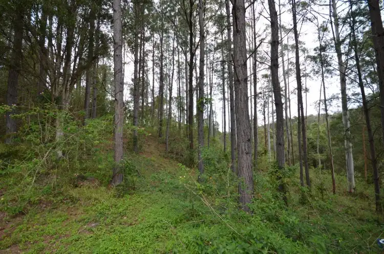 Sixth view of Homely rural property listing, LOT 02 Upper Coomera Road, Illinbah QLD 4275