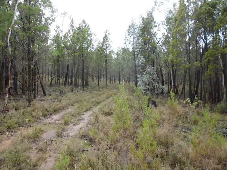 Second view of Homely land listing, 180 Kangarooby Road, Cowra NSW 2794