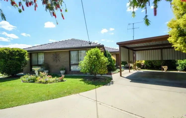 Main view of Homely house listing, 19 Dallwitz Court, Wangaratta VIC 3677