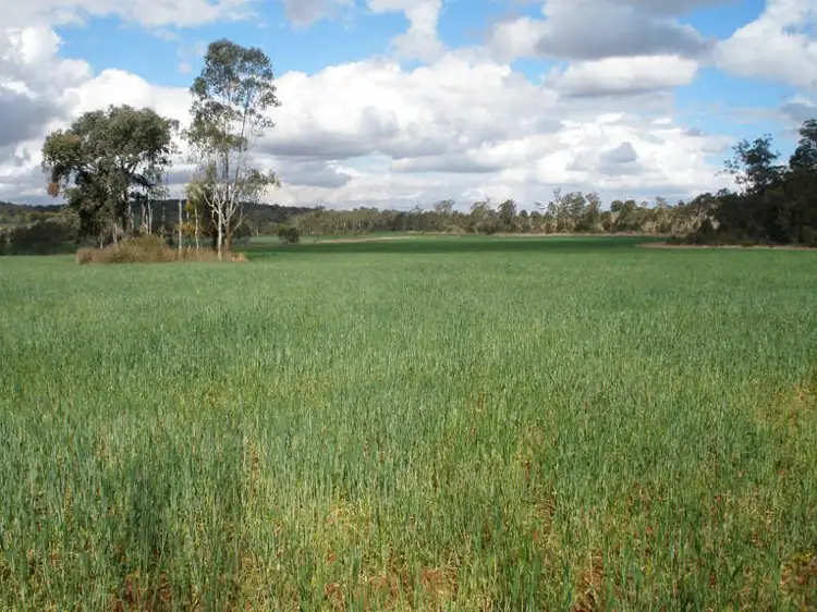 Fourth view of Homely rural property listing, Lot 491 Rackemann Road, Wooroolin QLD 4608