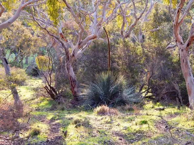 Fifth view of Homely rural property listing, Lot 2 Stockwell Rd, Yankalilla SA 5203