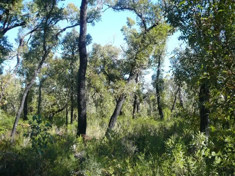 Fourth view of Homely land listing, 815 Stoney Creek Road, Porongurup WA 6324