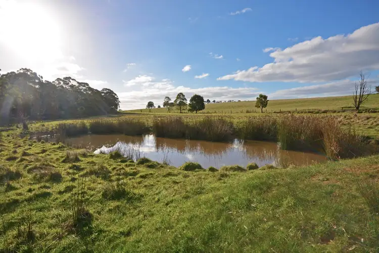 Fourth view of Homely rural property listing, Lot 14A McInnes Road, Macarthur VIC 3286