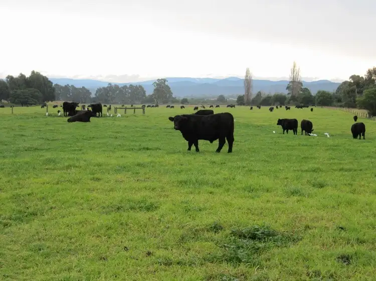Fifth view of Homely rural property listing, 1199 Maffra-Briagolong Road, Boisdale VIC 3860