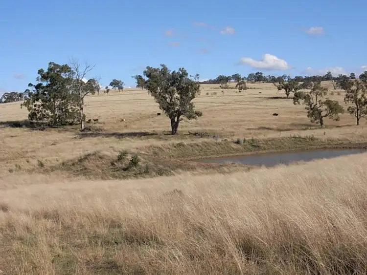 LOT 42/1045 Castle Rock Road, Muswellbrook NSW 2333
