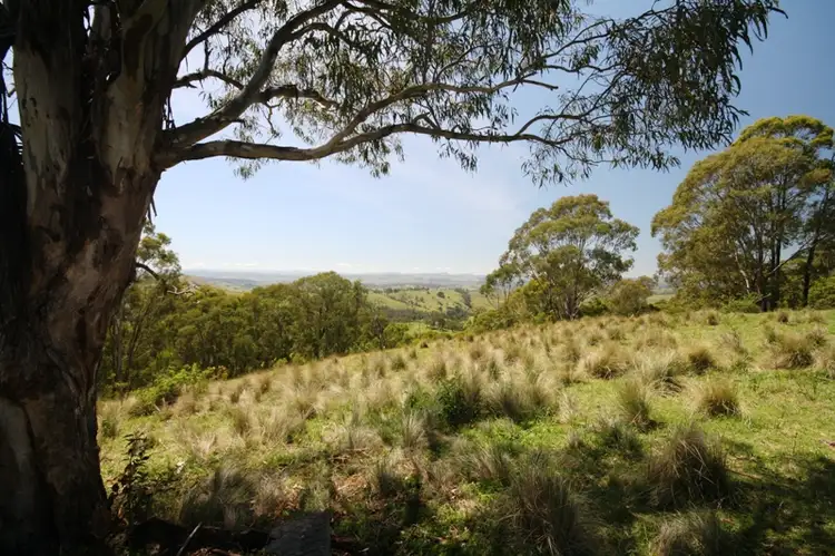 Third view of Homely rural property listing, 637 Bingleburra Road, Dungog NSW 2420