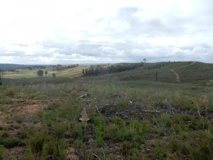 Second view of Homely rural property listing, 4494 TUMBARUMBA ROAD, Humula NSW 2652