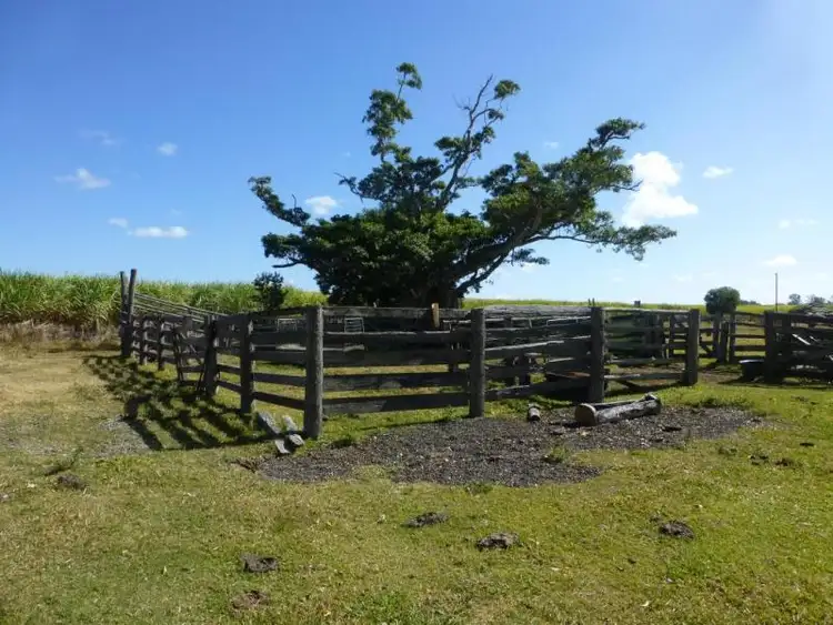 Sixth view of Homely rural property listing, 123 CONLONS ROAD, Horton QLD 4660