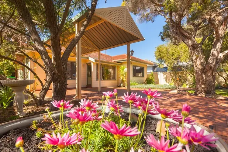 Second view of Homely house listing, 146 Herbert Street, Doubleview WA 6018