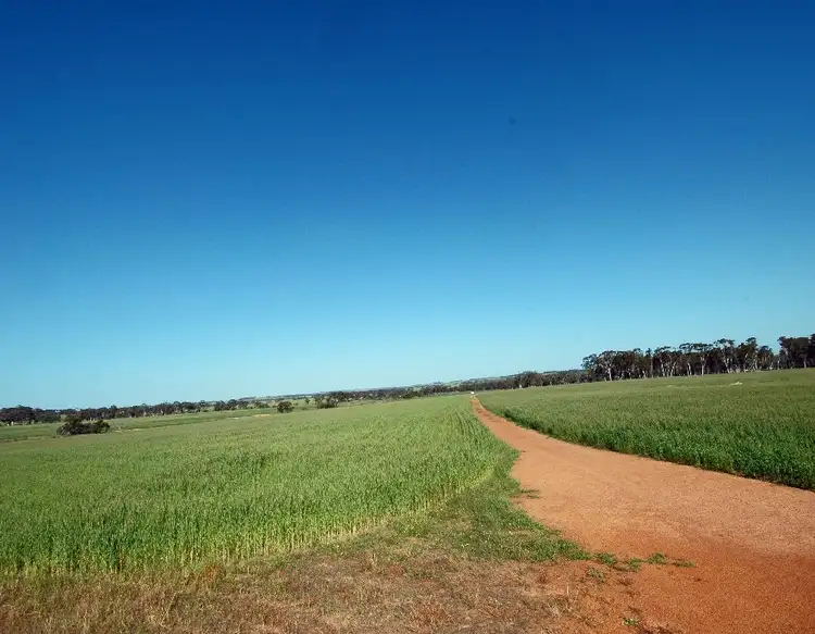 Fifth view of Homely rural property listing, LOT 73, 378 RICKEYS, Beverley WA 6304