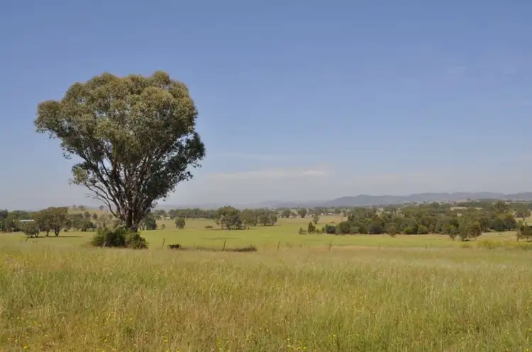 Main view of Homely land listing, 199 Black Lead Lane, Gulgong NSW 2852