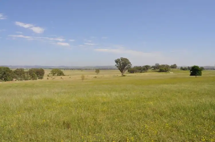 Second view of Homely land listing, 199 Black Lead Lane, Gulgong NSW 2852