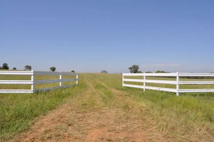 Fifth view of Homely land listing, 199 Black Lead Lane, Gulgong NSW 2852