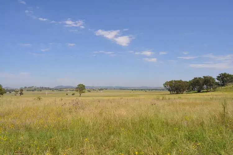 Main view of Homely land listing, 215 Black Lead Lane, Gulgong NSW 2852