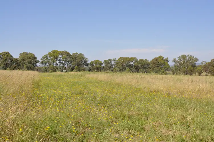 Second view of Homely land listing, 215 Black Lead Lane, Gulgong NSW 2852