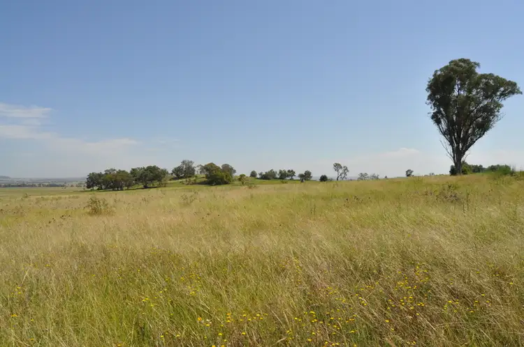 Fourth view of Homely land listing, 215 Black Lead Lane, Gulgong NSW 2852