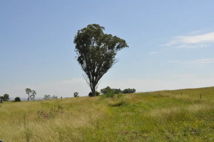 Fifth view of Homely land listing, 215 Black Lead Lane, Gulgong NSW 2852