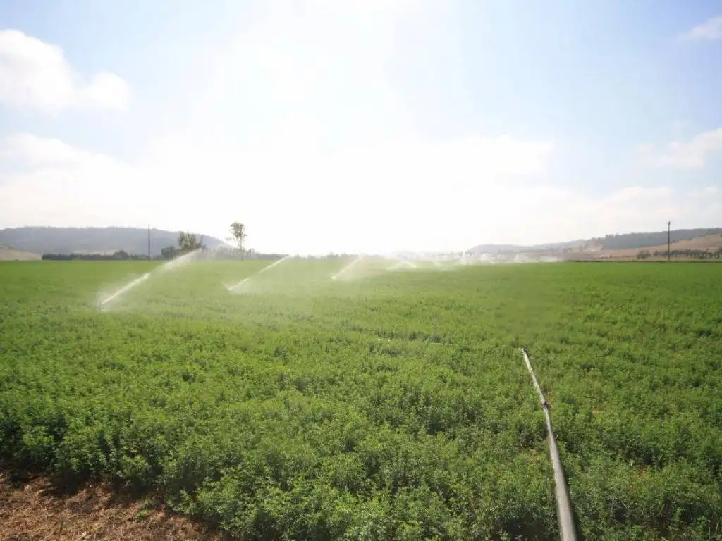 Main view of Homely rural property listing, 478 Bureen Road, Denman NSW 2328