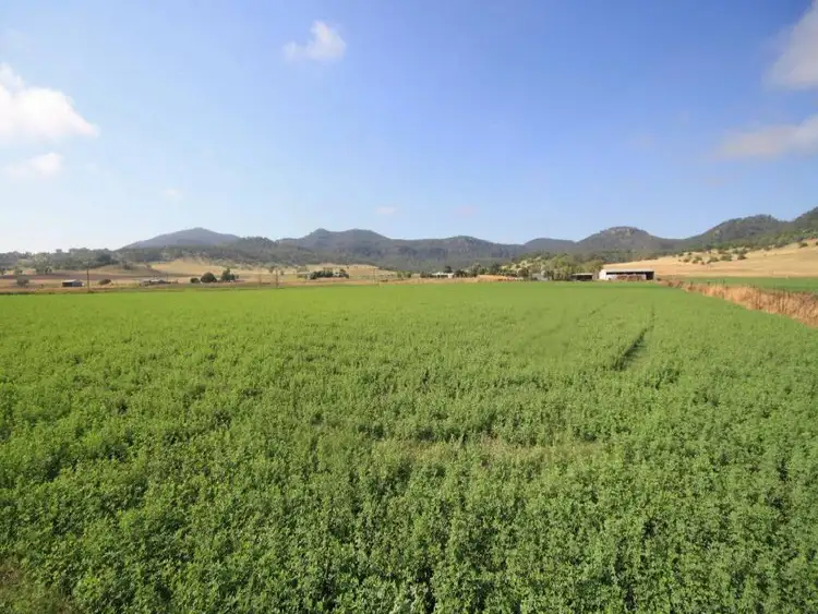 Fifth view of Homely rural property listing, 478 Bureen Road, Denman NSW 2328