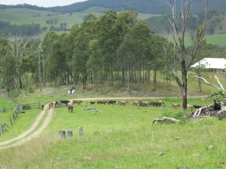 Second view of Homely house listing, 42 Toocan Lane, Dungog NSW 2420