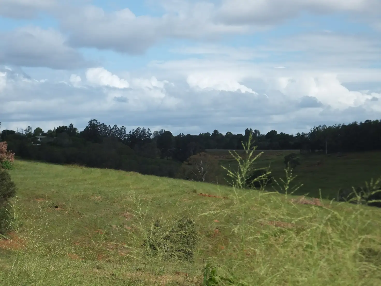 Main view of Homely rural property listing, 33 OLD CREEK ROAD, Childers QLD 4660