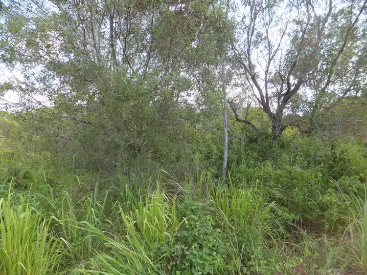 Seventh view of Homely rural property listing, 33 OLD CREEK ROAD, Childers QLD 4660