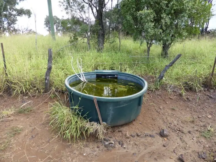 Fifth view of Homely rural property listing, Lot 1 Challacombe Street, Bell QLD 4408