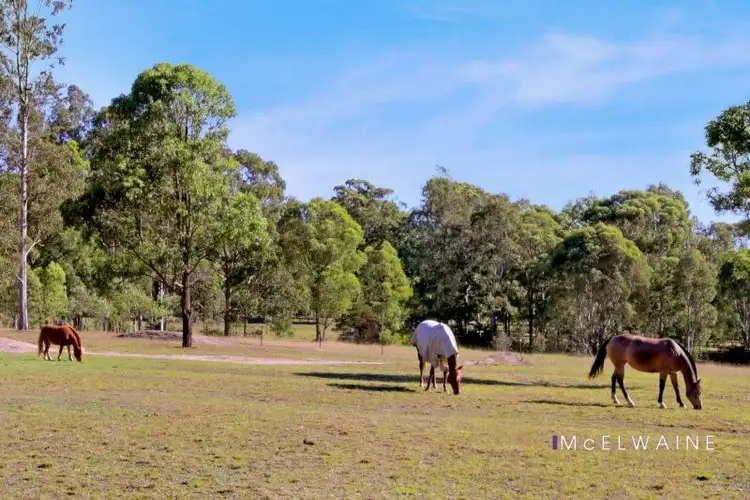 Seventh view of Homely rural property listing, 637 Wallarobba-Brookfield Rd, Wallarobba NSW 2420