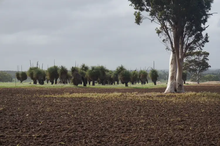 LOT 802 Westdale Road, Beverley WA 6304