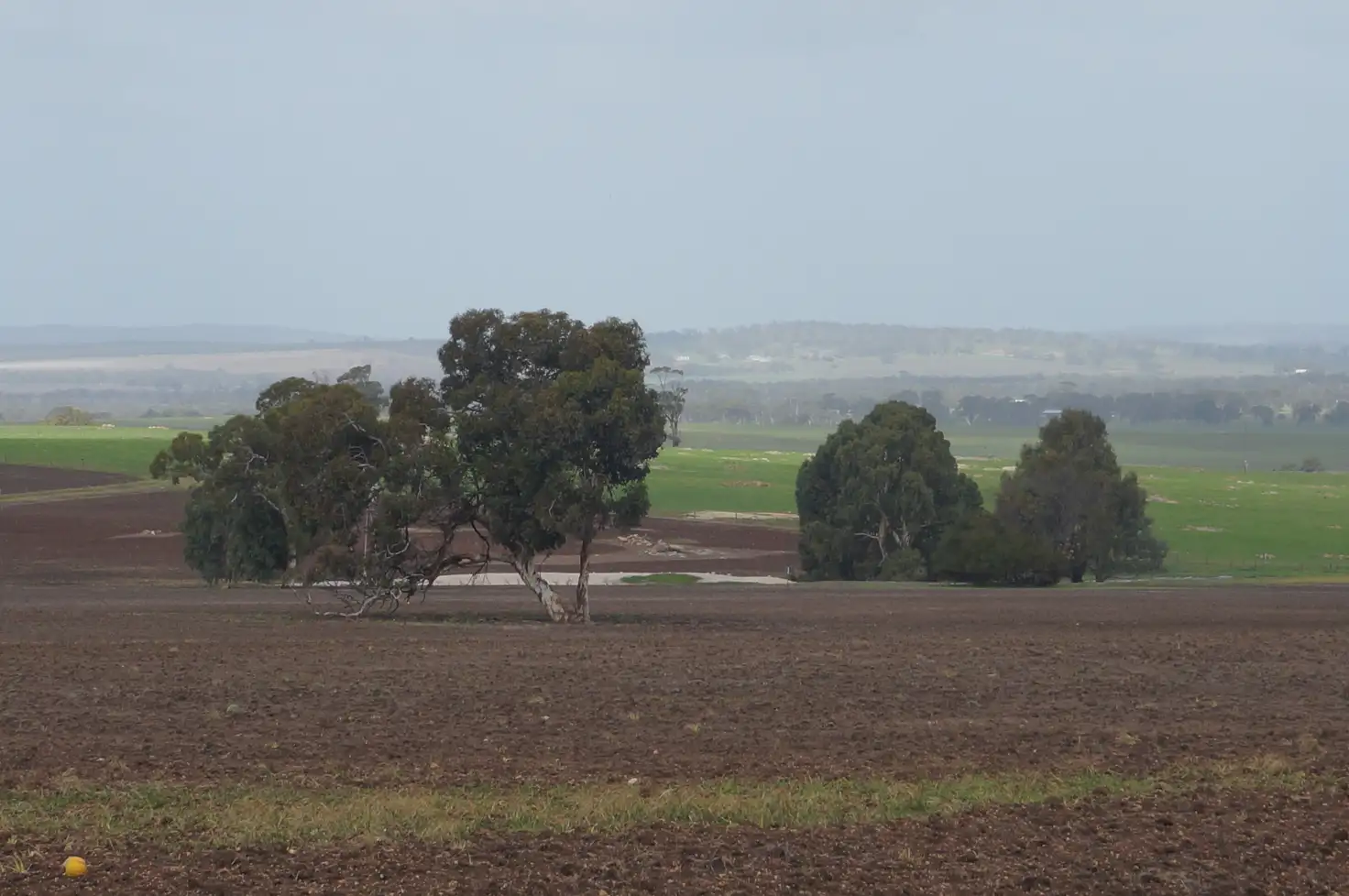Main view of Homely rural property listing, LOT 803 Westdale Road, Beverley WA 6304