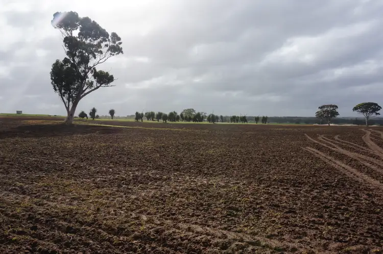 Fifth view of Homely rural property listing, LOT 803 Westdale Road, Beverley WA 6304