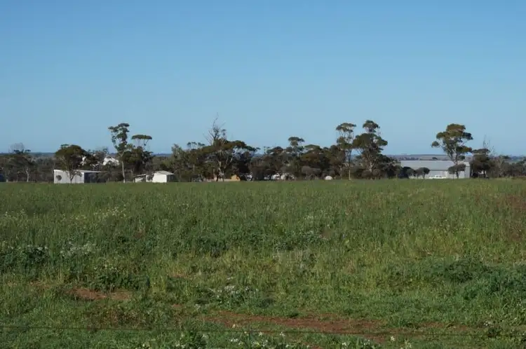 Fourth view of Homely rural property listing, LOT 94 Koorda - Cadoux Road, Koorda WA 6475