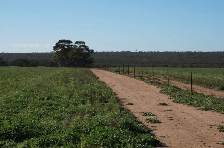 Fifth view of Homely rural property listing, LOT 94 Koorda - Cadoux Road, Koorda WA 6475