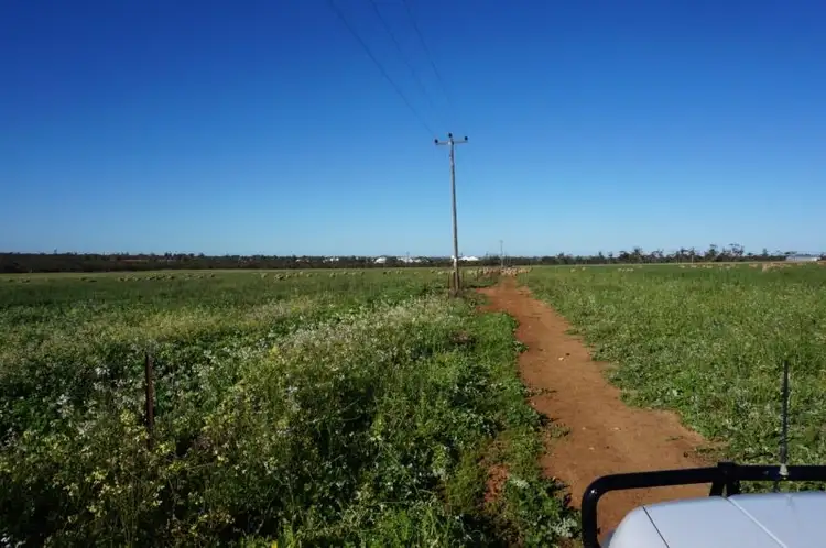 Sixth view of Homely rural property listing, LOT 94 Koorda - Cadoux Road, Koorda WA 6475