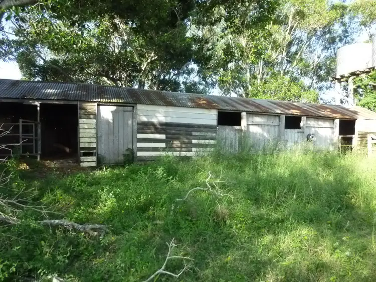 Seventh view of Homely rural property listing, 8000 ISIS HIGHWAY, Dallarnil QLD 4621