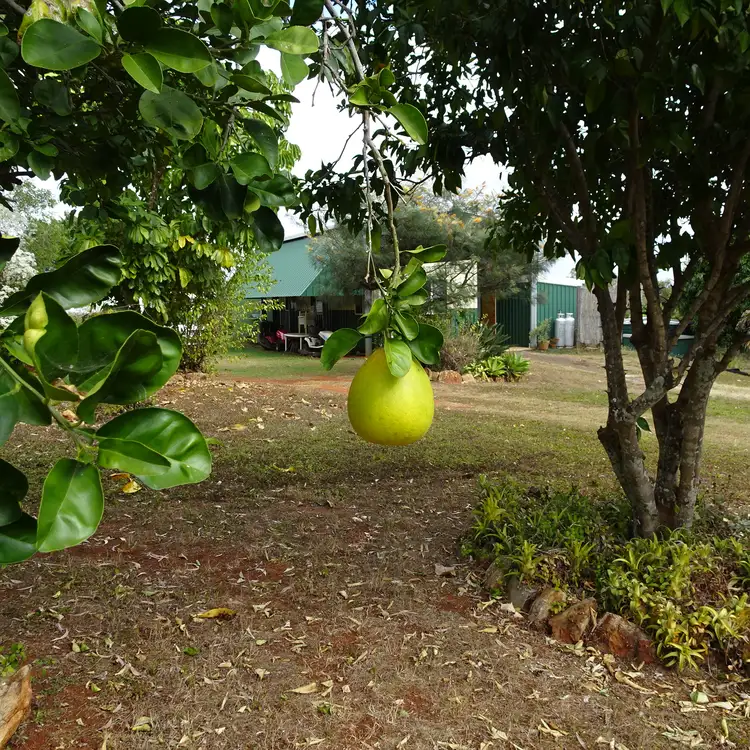 Third view of Homely house listing, 6-12 WEGERT STREET, Apple Tree Creek QLD 4660