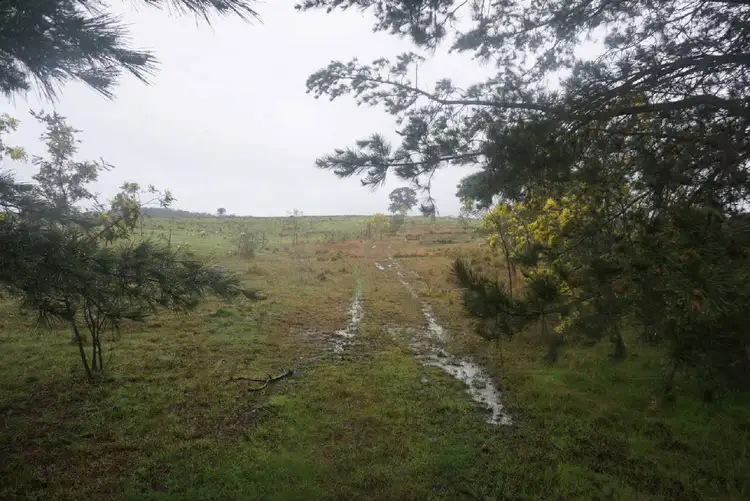Fourth view of Homely land listing, 243 Elms Road, Yass River NSW 2582