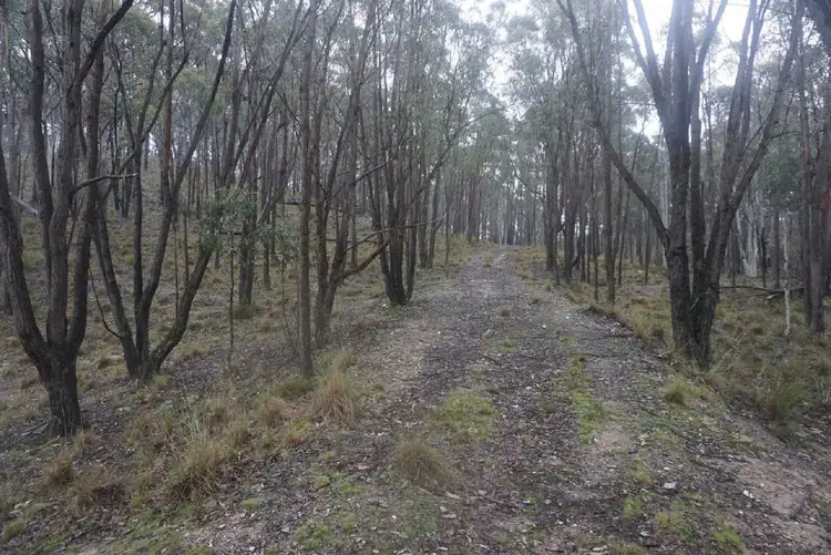 Seventh view of Homely land listing, 243 Elms Road, Yass River NSW 2582