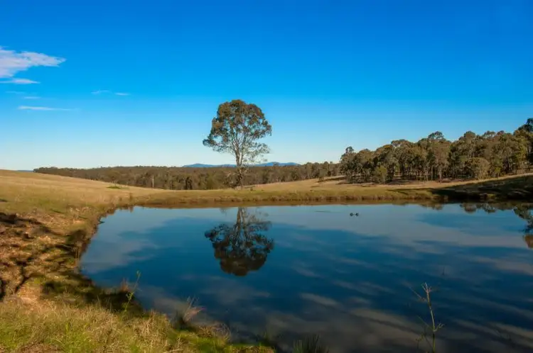 Main view of Homely land listing, 577 Old North Road, Lochinvar NSW 2321