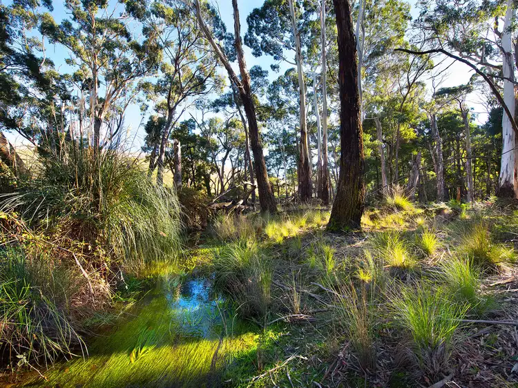 Main view of Homely land listing, 28 Plantation Road, Glenlyon VIC 3461
