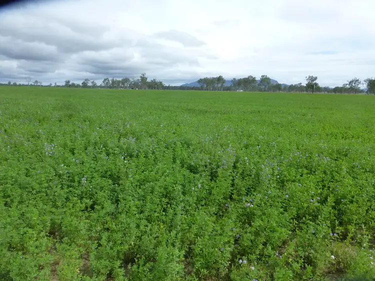 Main view of Homely rural property listing, LOT 17 OLD COACH ROAD, Degilbo QLD 4621
