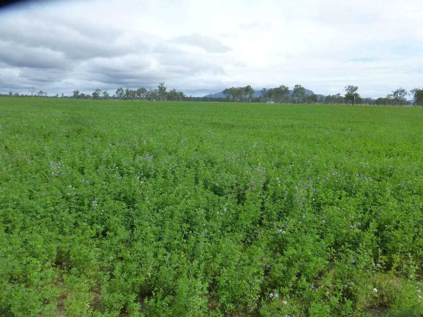 Main view of Homely rural property listing, LOT 17 OLD COACH ROAD, Degilbo QLD 4621