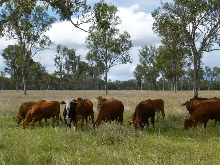 Third view of Homely rural property listing, LOT 17 OLD COACH ROAD, Degilbo QLD 4621