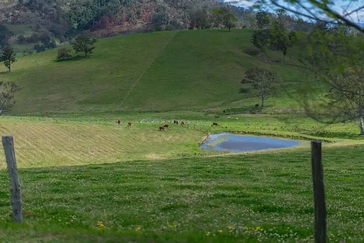 Second view of Homely rural property listing, 893 Waukivory Road, Gloucester NSW 2422