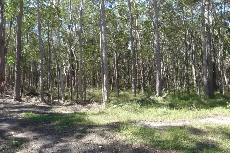 Seventh view of Homely land listing, LOT 1, 0 Bruce Highway, Howard QLD 4659